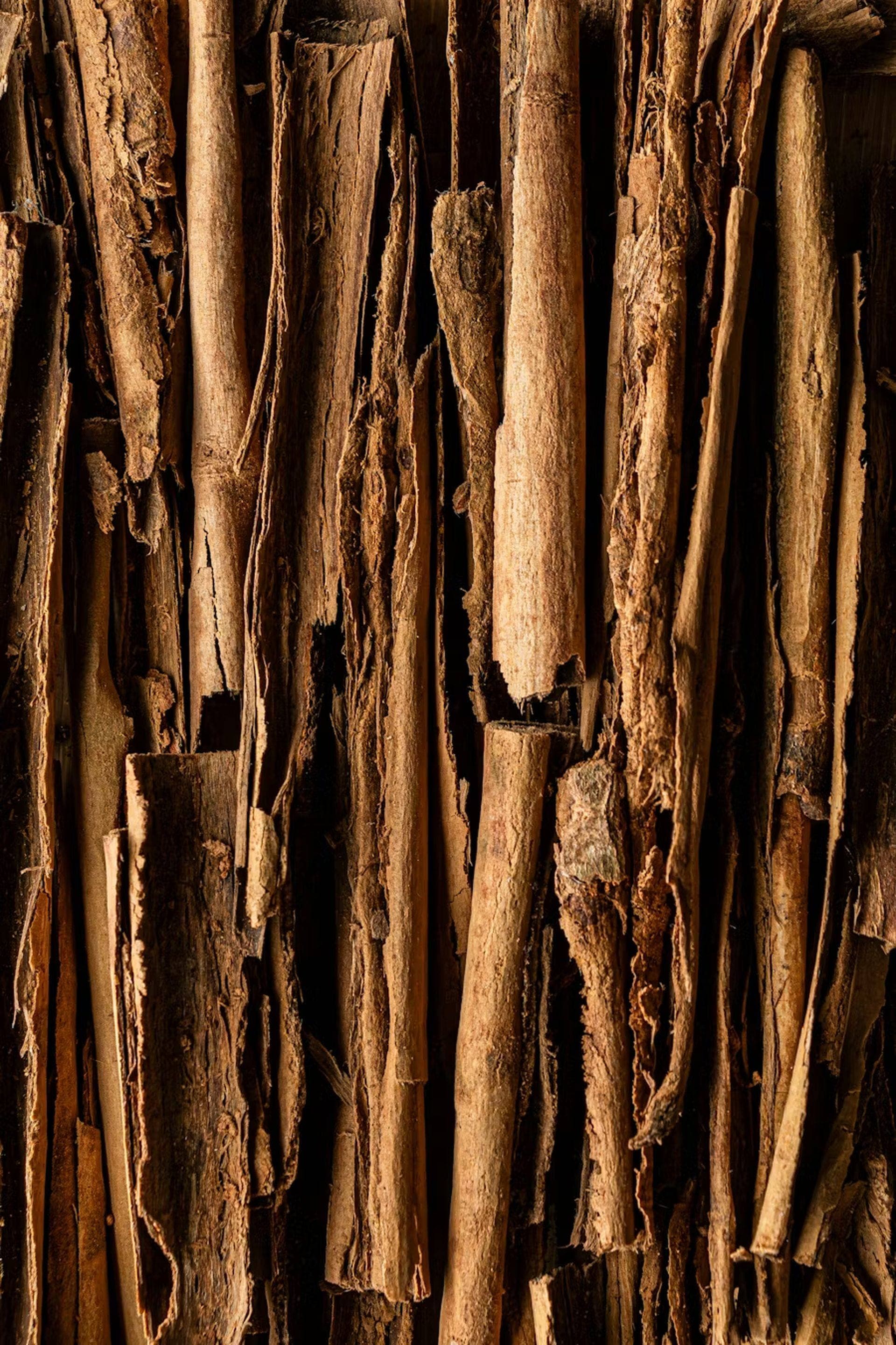 Ceylon cinnamon estate